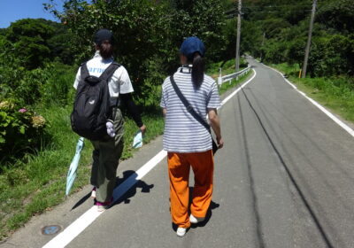 地区視診
